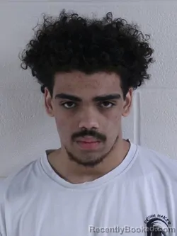 Mugshot of JOBY TAJ HILLTON