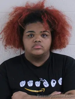 Mugshot of VARICHA E DUDLEY