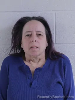 Mugshot of DIANA J WELLS