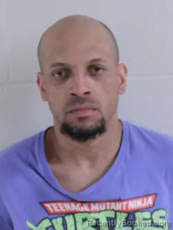 Mugshot of BRENT MICHAEL FISH