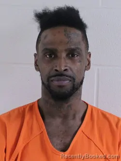 Mugshot of ROBERT EARL   III WILSON