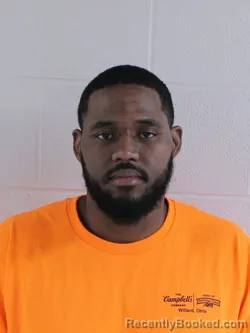 Mugshot of NATHAN C FEAGIN