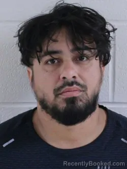 Mugshot of RICARDO RENE TORRES
