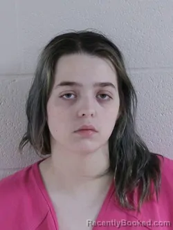 Mugshot of AMBER LYNN JEAN BERARD booked in Ashland County, Ohio on April 12, 2026