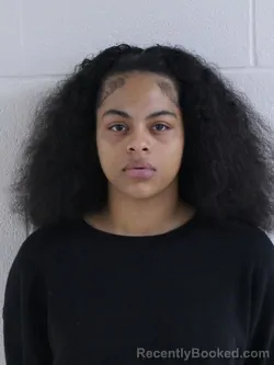 Mugshot of SASHELL UNIQUE HOOKS booked in Ashland County, Ohio on April 29, 2026