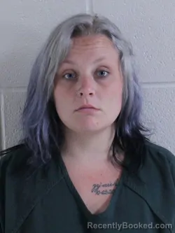 Mugshot of KINDRA NICHELLE BEE booked in Ashland County, Ohio on June 7, 2026