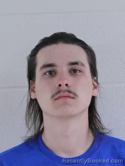 Mugshot of BRIAR MATTHEW WILSON booked in Ashland County, Ohio on June 15, 2026