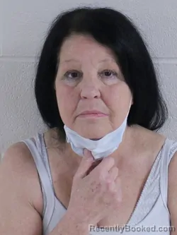 Mugshot of Teri Lea Mcmullin booked in Ashland County, Ohio on October 2, 2026