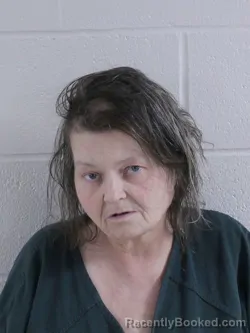 Mugshot of JULIA LYNNE ELSWICK booked in Ashland County, Ohio on April 25, 2026