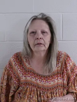 Mugshot of LAURA L VANCE booked in Ashland County, Ohio on April 10, 2026