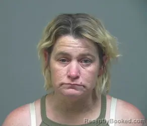 Mugshot of TARA ANN BING booked in Athens County, Ohio on June 16, 2026