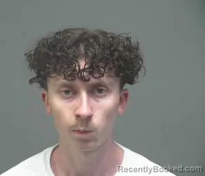 Mugshot of DYLAN REEVE NAPIER