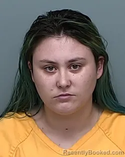 Mugshot of BRITTANY L BREWSTER booked in Auglaize County, Ohio on April 10, 2026
