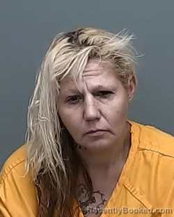 Mugshot of PATRICIA ANN PATTERSON booked in Auglaize County, Ohio on June 19, 2026