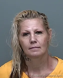 Mugshot of PATRICIA ANN PATTERSON booked in Auglaize County, Ohio on July 1, 2026