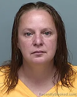Mugshot of AMY MICHELLE BRADFORD booked in Auglaize County, Ohio on July 5, 2026