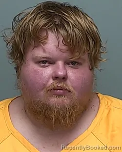 Mugshot of Allen Anthony Ferguson