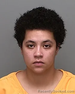 Mugshot of Alexus Nicole Marable booked in Auglaize County, Ohio on September 4, 2026