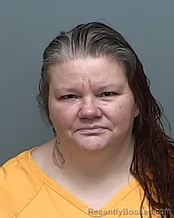 Mugshot of Debbie Sue Mcintosh booked in Auglaize County, Ohio on September 5, 2026
