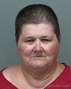 Mugshot of Shannon Mary Elizabeth Underwood booked in Auglaize County, Ohio on October 8, 2026