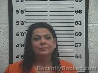 Mugshot of Leslie Ann Brown booked in Belmont County, Ohio on July 12, 2026