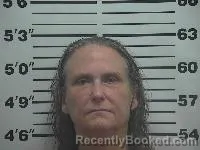 Mugshot of Theresa Louise Bowman booked in Belmont County, Ohio on July 27, 2026