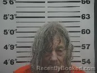 Mugshot of Michelle Marie Vinka booked in Belmont County, Ohio on May 28, 2026