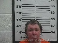 Mugshot of Carol Ann Steele