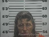 Mugshot of Susan Renee Legg booked in Belmont County, Ohio on May 16, 2026
