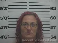 Mugshot of Kourtney Cathleen Vandyne booked in Belmont County, Ohio on June 23, 2026