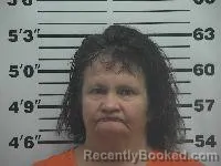 Mugshot of Mary Ann Rowan booked in Belmont County, Ohio on August 30, 2026