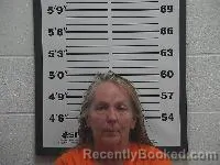 Mugshot of Susan Lynn Davis booked in Belmont County, Ohio on April 17, 2026