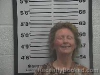 Mugshot of Karen Sue Elliott booked in Belmont County, Ohio on June 14, 2026