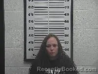 Mugshot of Danielle Lynn Young booked in Belmont County, Ohio on July 25, 2026