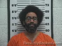 Mugshot of James Levearne Hudson II