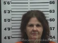 Mugshot of Diane Darlene Lewis