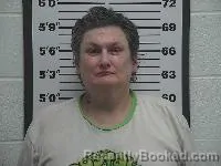 Mugshot of Danny Lee Wise Jr