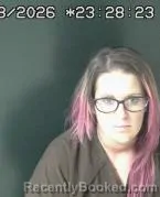 Mugshot of BRIANNA LINN WILLIAMS