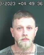 Mugshot of BRANDON WAYNE REESE