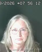 Mugshot of SONYA ELIZABETH TOMLIN booked in Brown County, Ohio on July 9, 2026