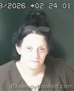 Mugshot of Chelsey Marie Hutchins booked in Brown County, Ohio on September 8, 2026