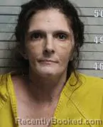 Mugshot of GINA MARIE ANGELICA CHANEY