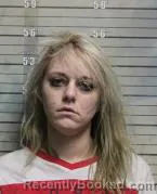 Mugshot of CHEYENNE ELIZABETH ANDERSON