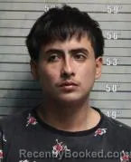 Mugshot of ANDERSON LEIBA LEIBA