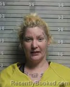 Mugshot of CHELSEA ELAINE TEEGARDEN