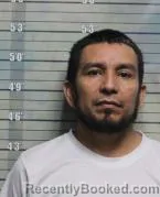 Mugshot of WILBER ALONSO HERNANDEZ