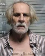 Mugshot of TERRY LEE HONCHUL