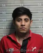 Mugshot of MEDARDO GOMEZ GOMEZ