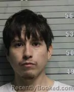 Mugshot of ROBERTO REYES PALOMARES