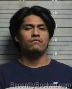 Mugshot of WILLIBALDO MENDOZA LUIS